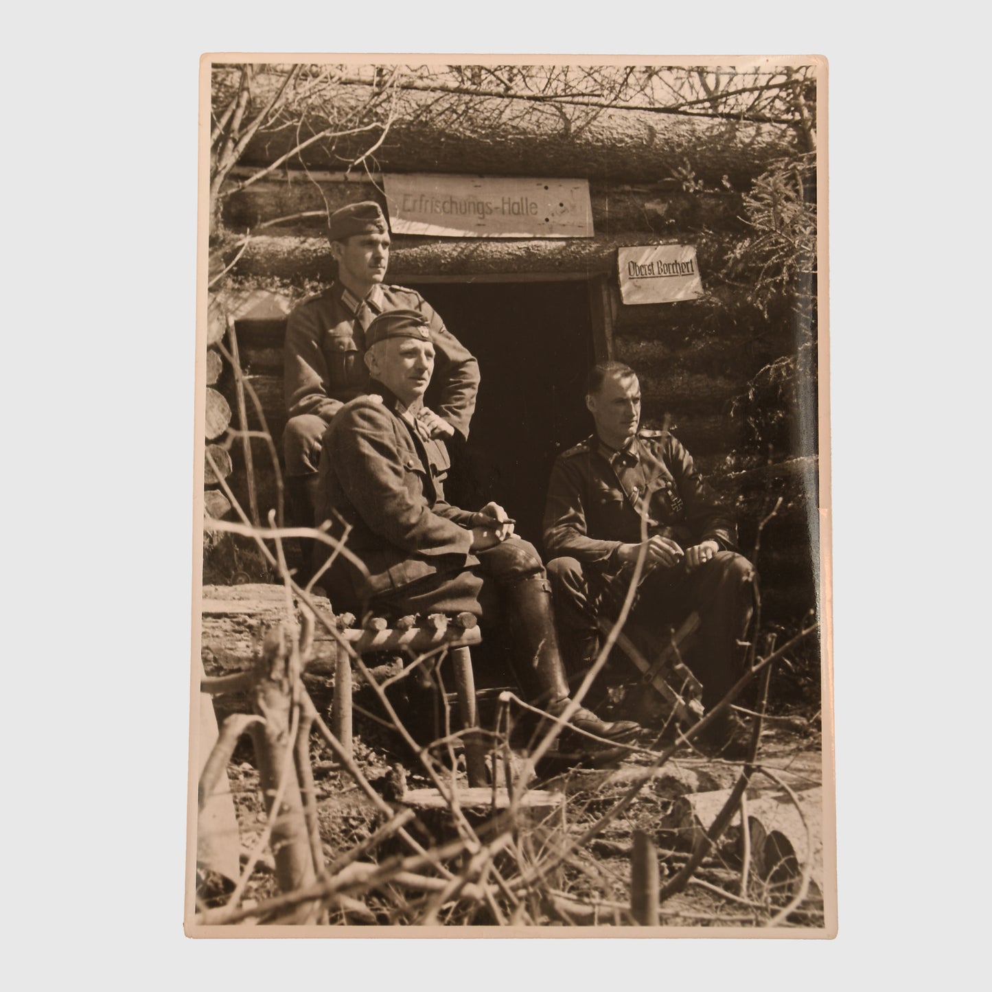 German WWII Waffen-SS German Cross in Gold Citation