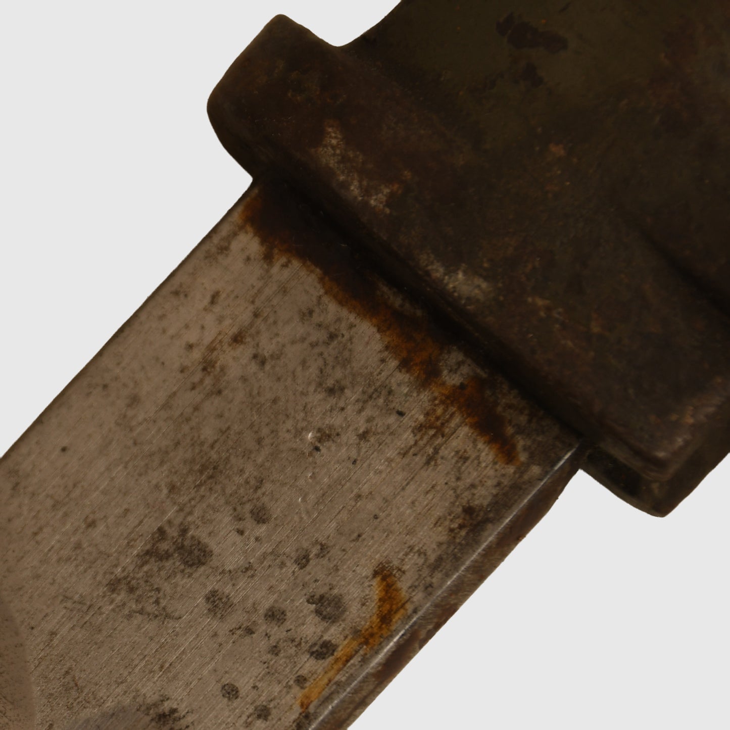 German WWI Ersatz Display Piece with Frog