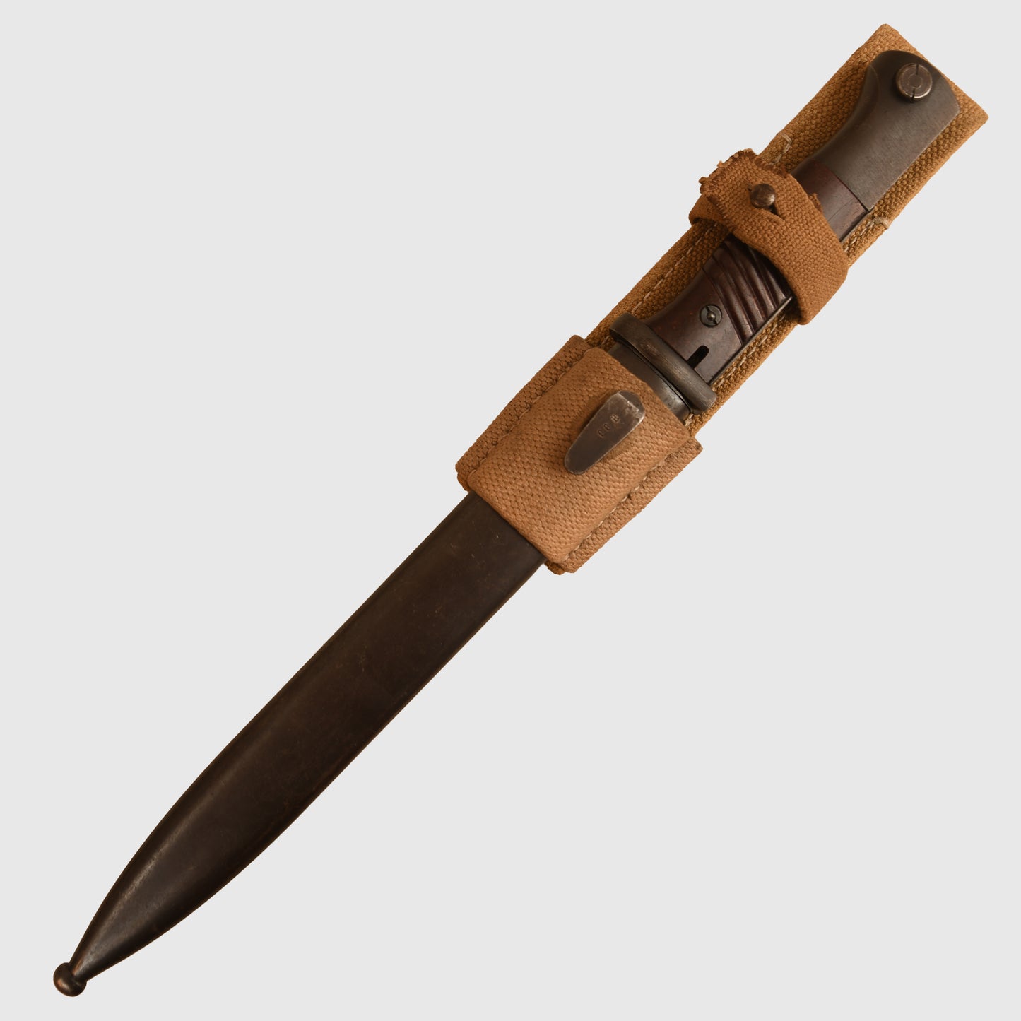 German WWII K/98 Display Piece with Tropical Frog Fitted