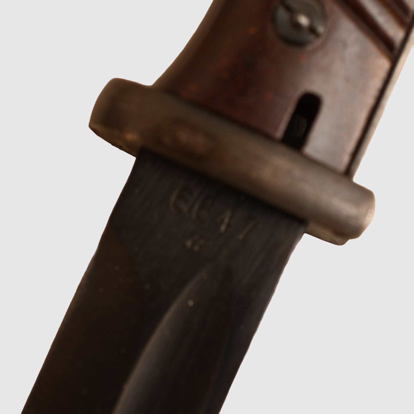 German WWII K/98 Display Piece with Tropical Frog Fitted