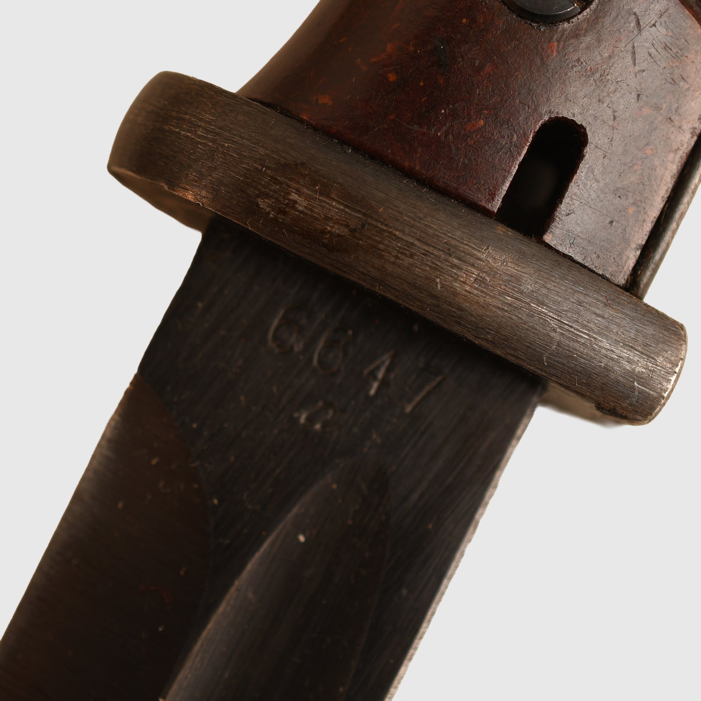 German WWII K/98 Display Piece with Tropical Frog Fitted