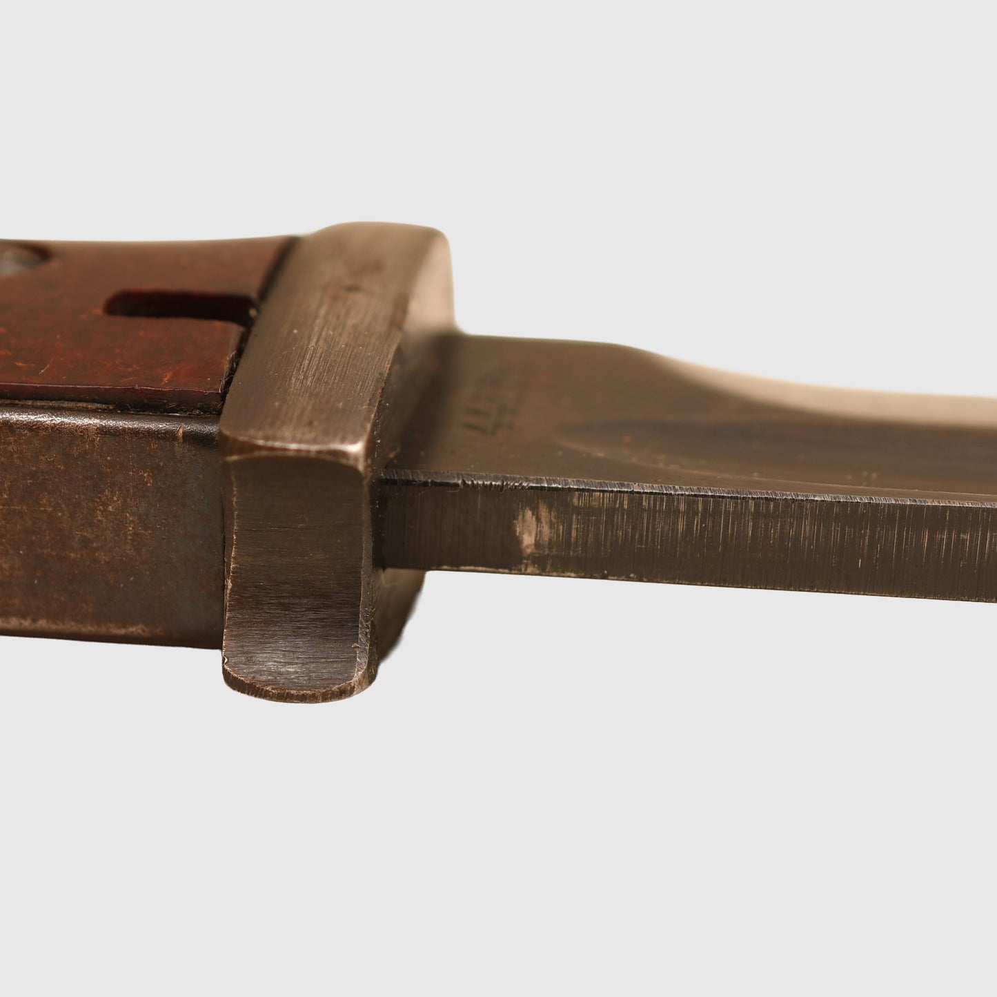 German WWII K/98 Display Piece with Tropical Frog Fitted