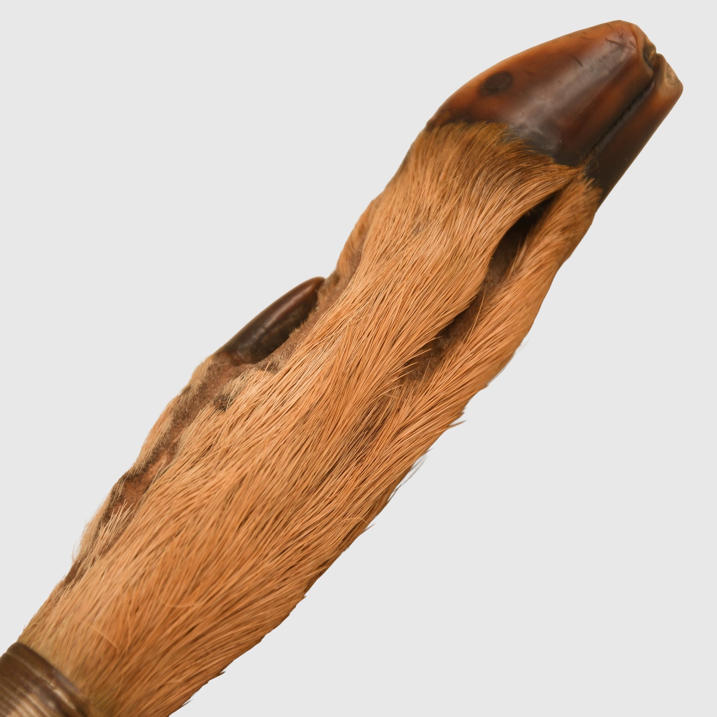 German WWI Deer's Foot Display Piece