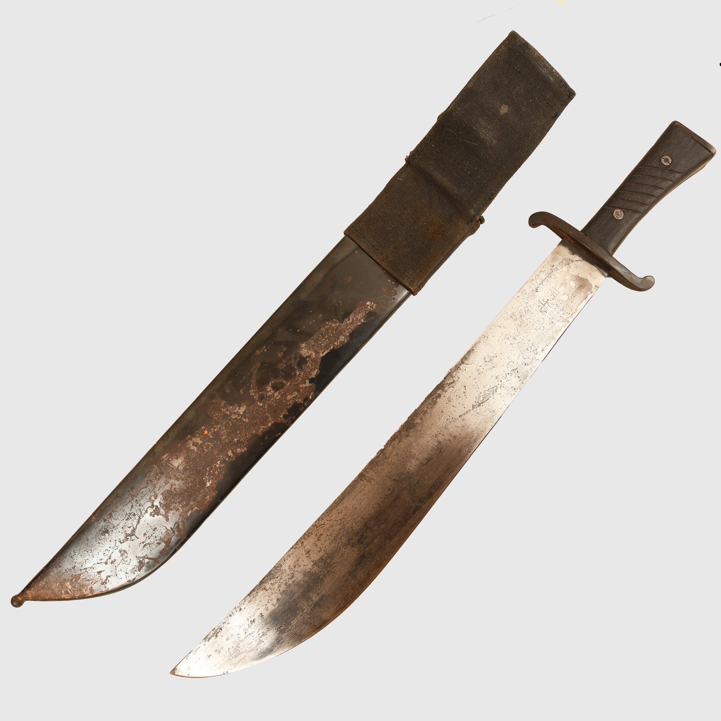 German WWII Luftwaffe Survival Display Piece