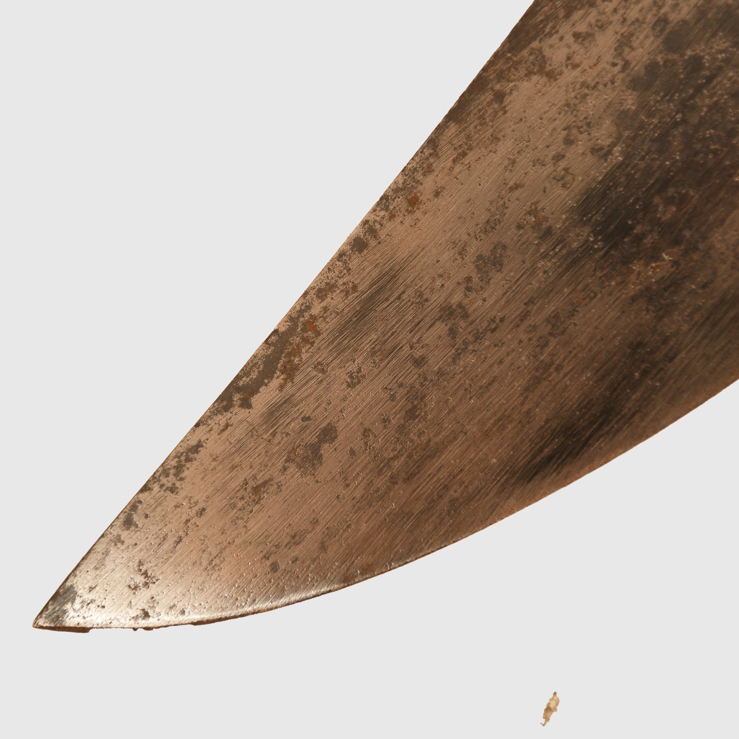 German WWII Luftwaffe Survival Display Piece