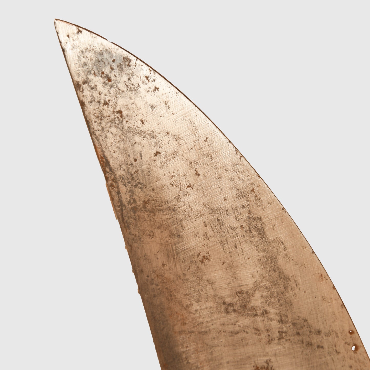 German WWII Luftwaffe Survival Display Piece