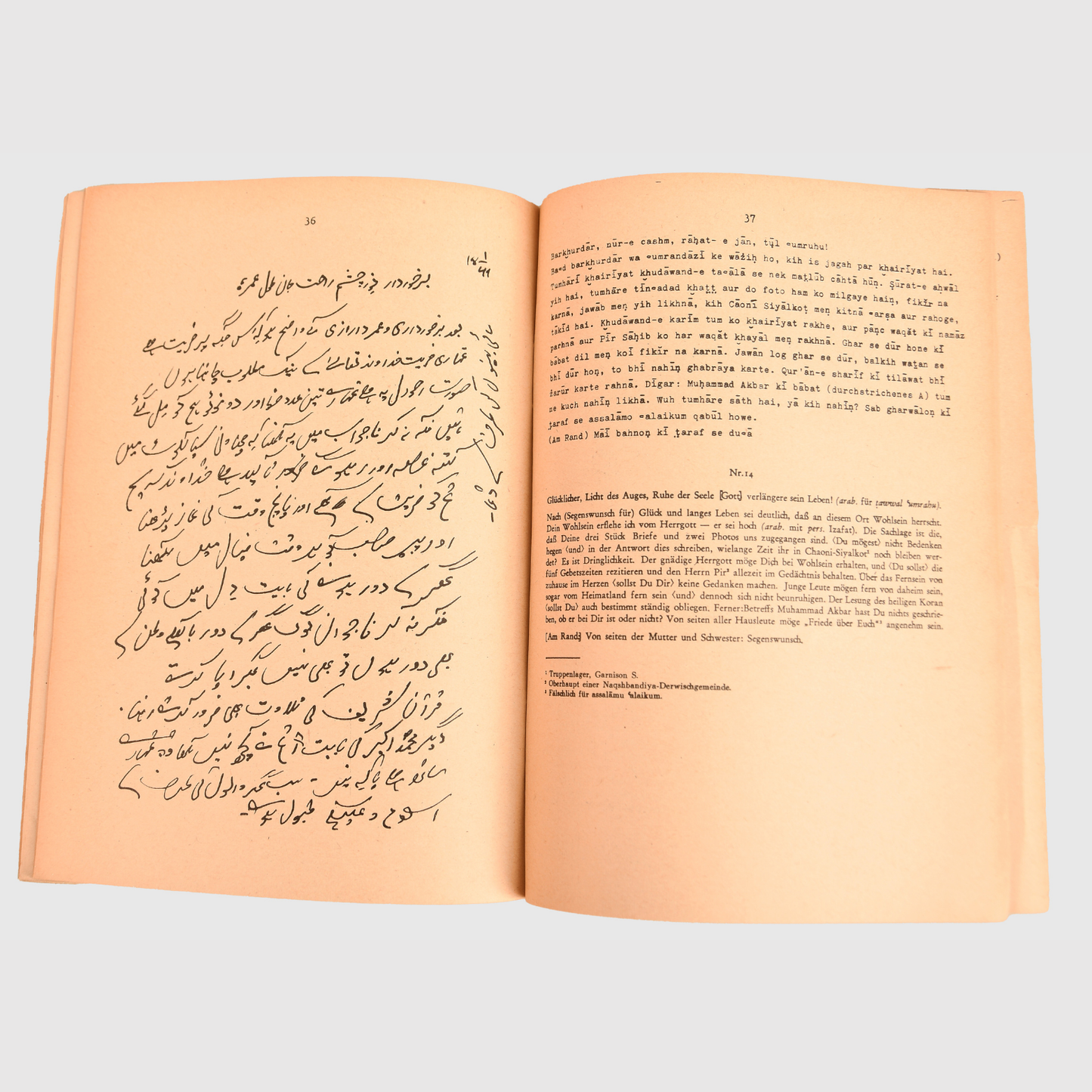 German WWII Free Indian Legion Collection