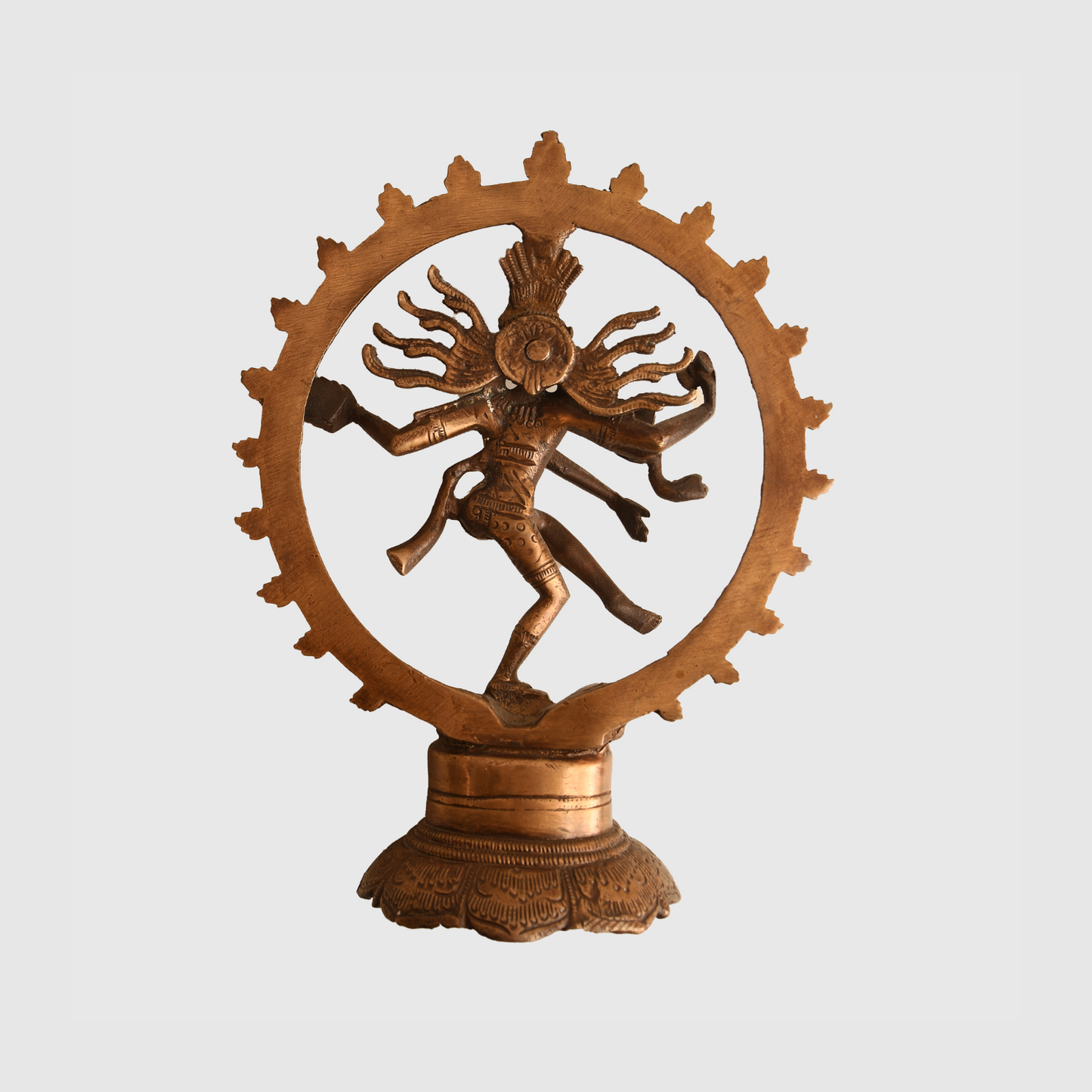German WWII Free Indian Legion Collection