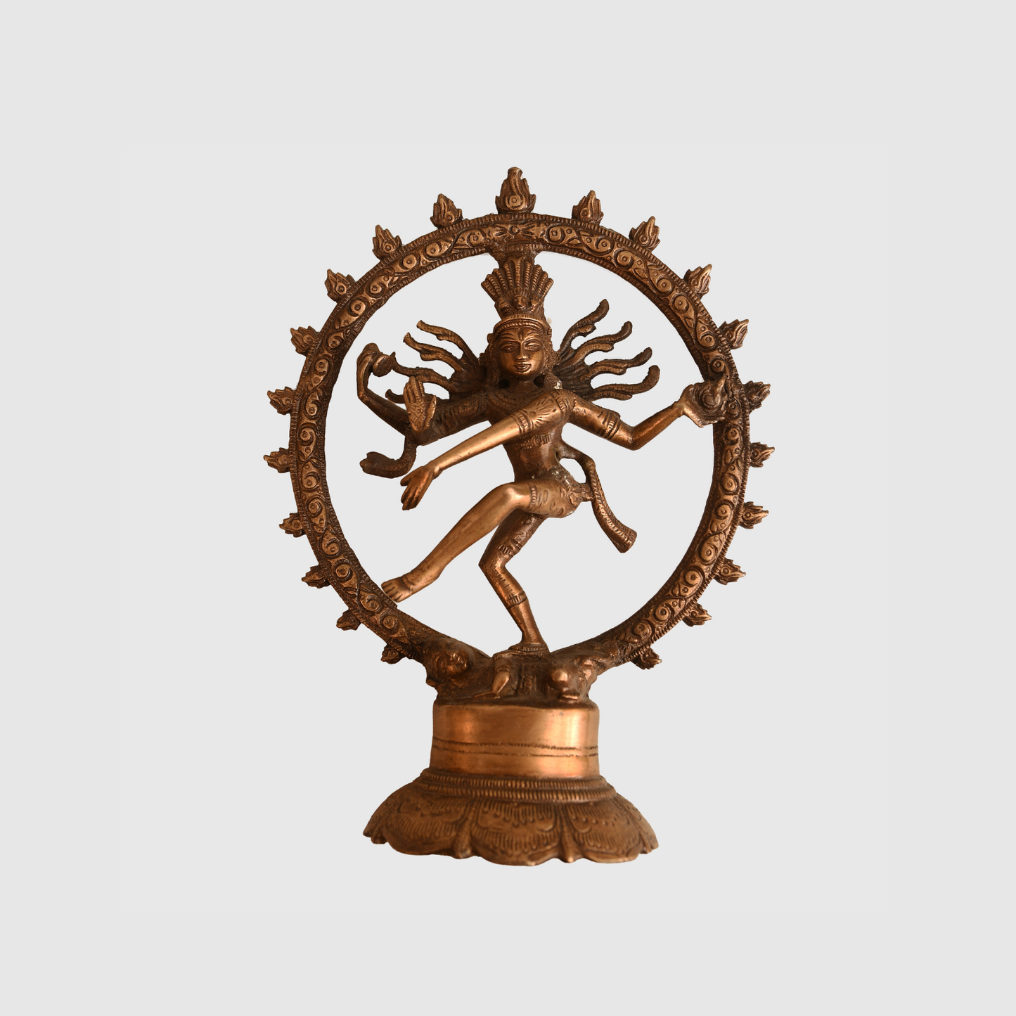 German WWII Free Indian Legion Collection