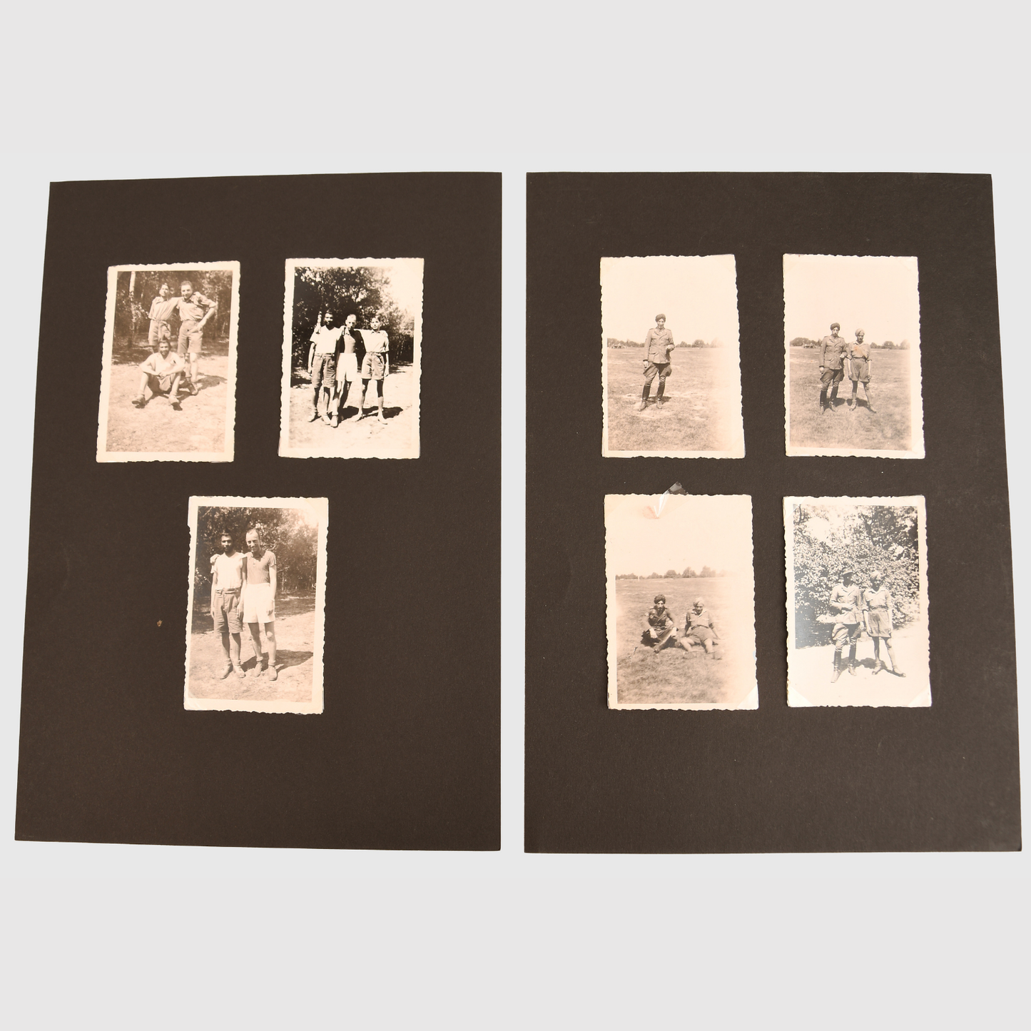 German WWII Free Indian Legion Collection