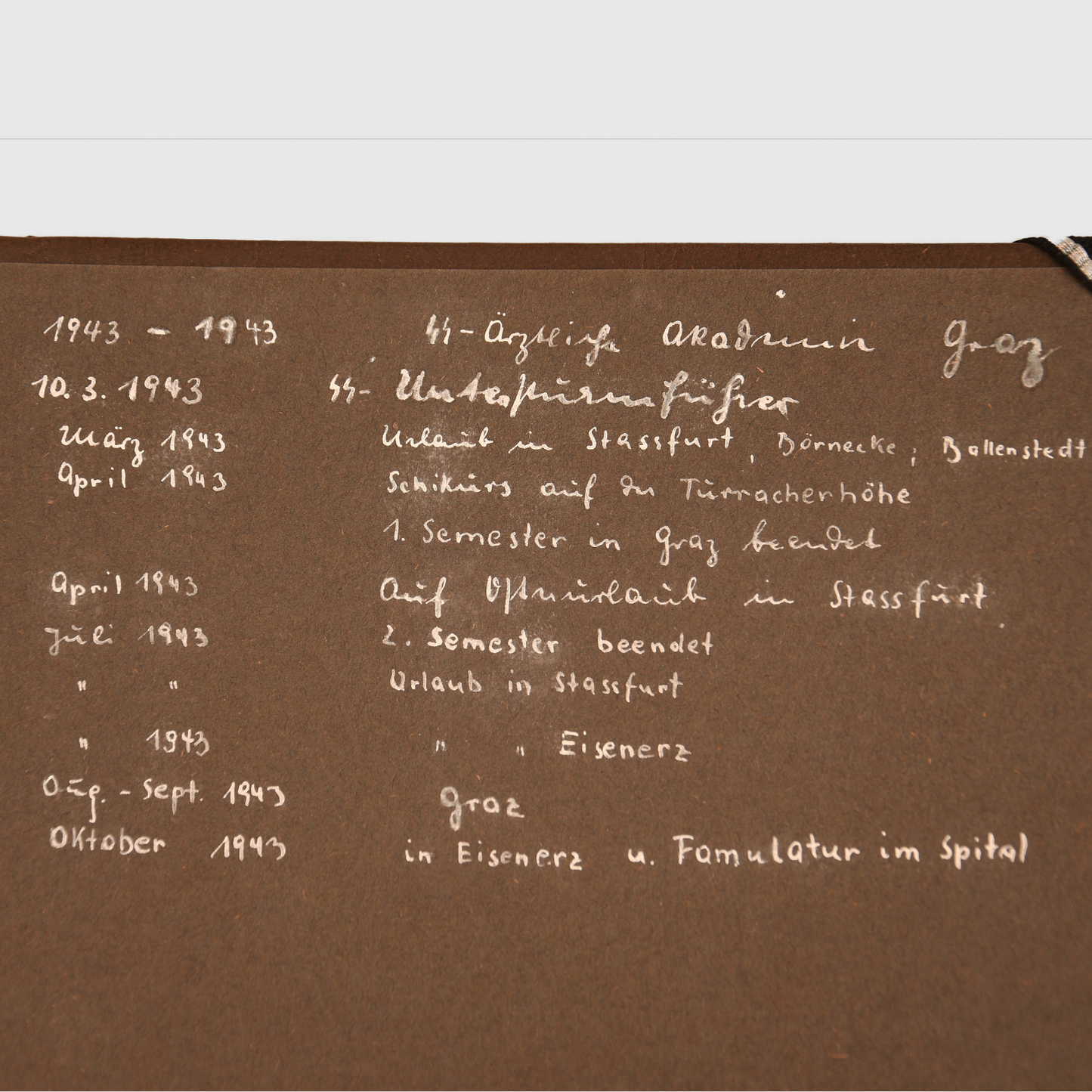German WWII Waffen-SS Officer Horst Vollrath – Six-Album Photographic Archive