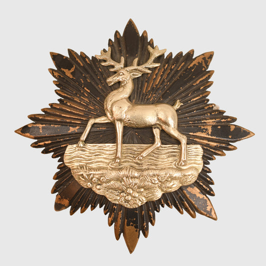 HERTFORDSHIRE RIFLE VOLUNTEERS HELMET PLATE