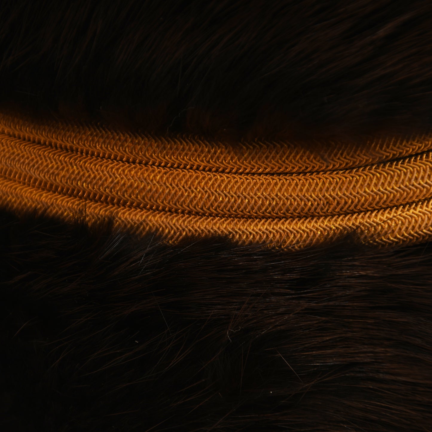 Pre-WWI British 3rd (The King’s Own) Hussars Officer's Busby