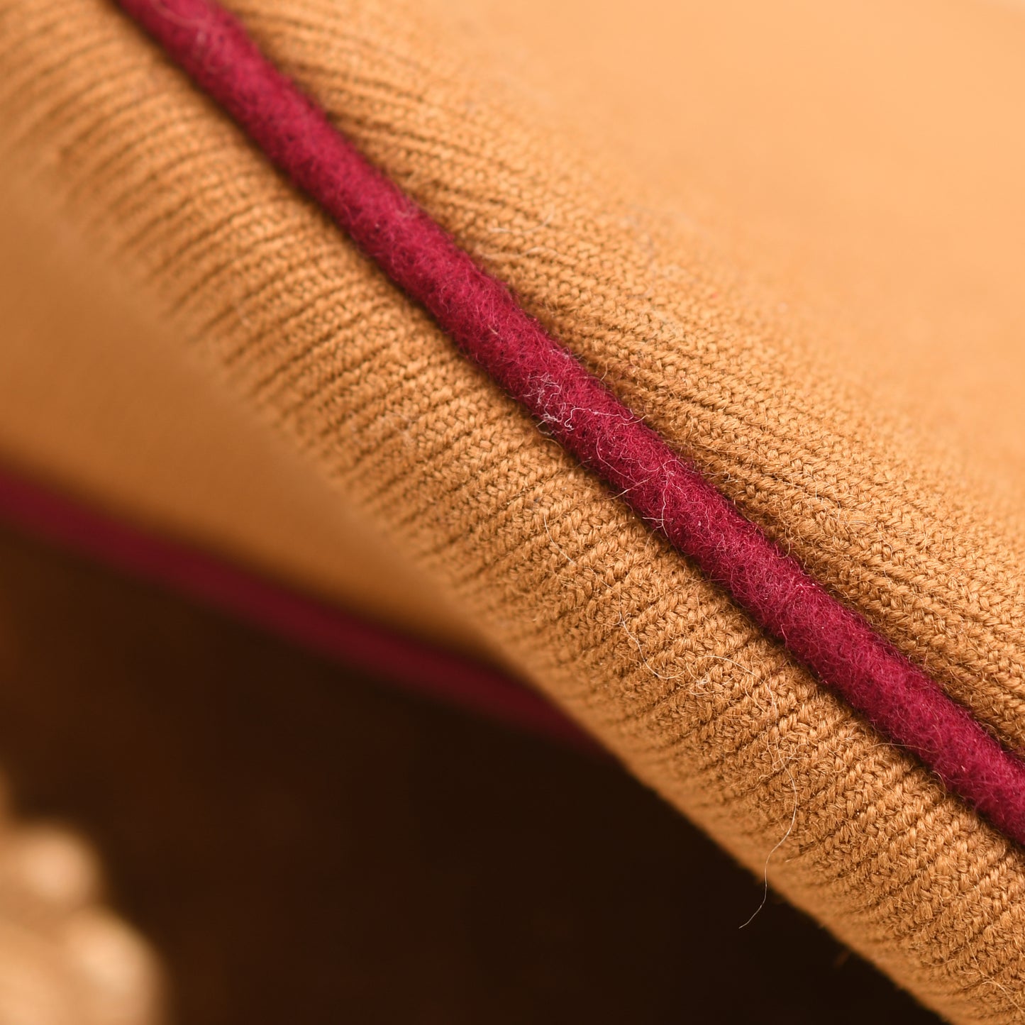 German WWII NSDAP Gauleitung Official's Cap