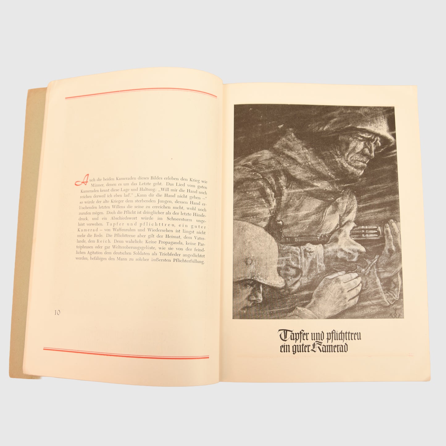 German WWII Wolfgang Willrich Publication Collection