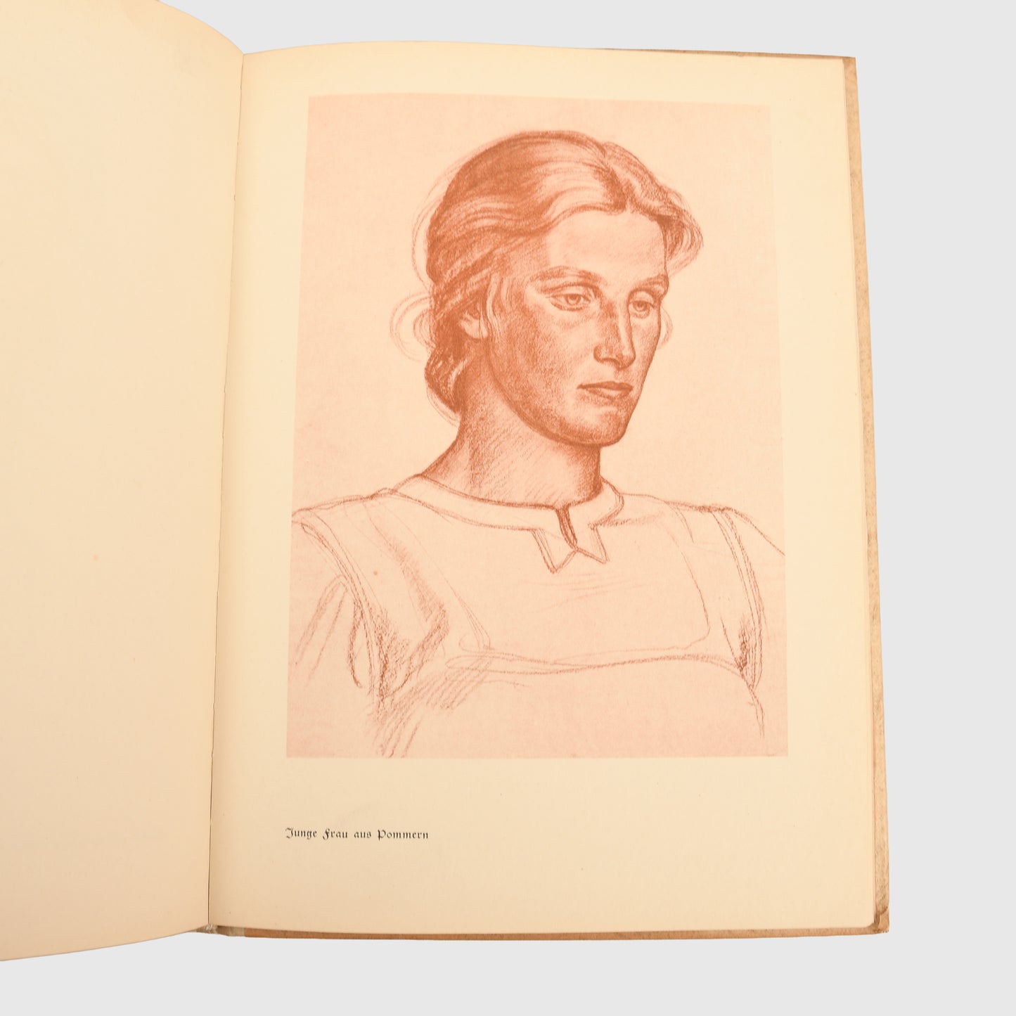 German WWII Wolfgang Willrich Publication Collection