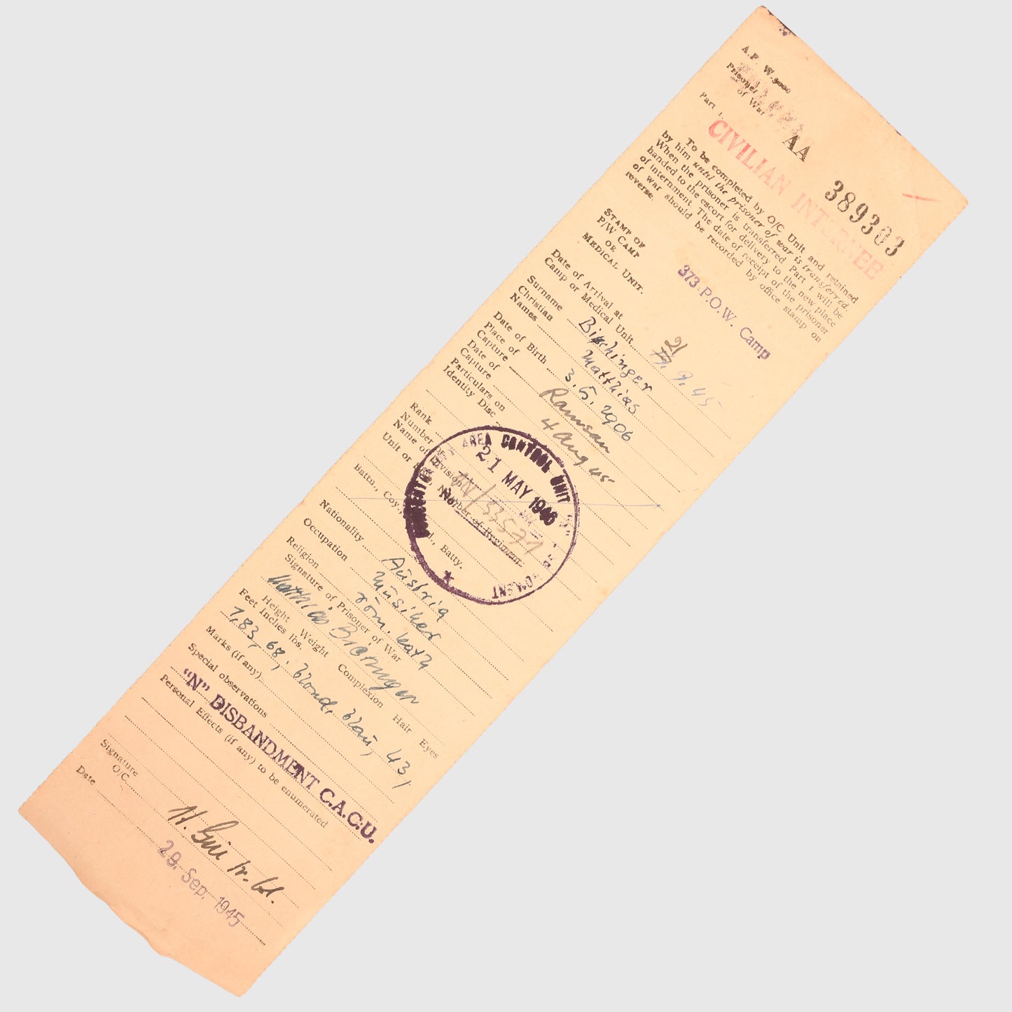 GERMAN WWII SS PAPERWORK GROUPING