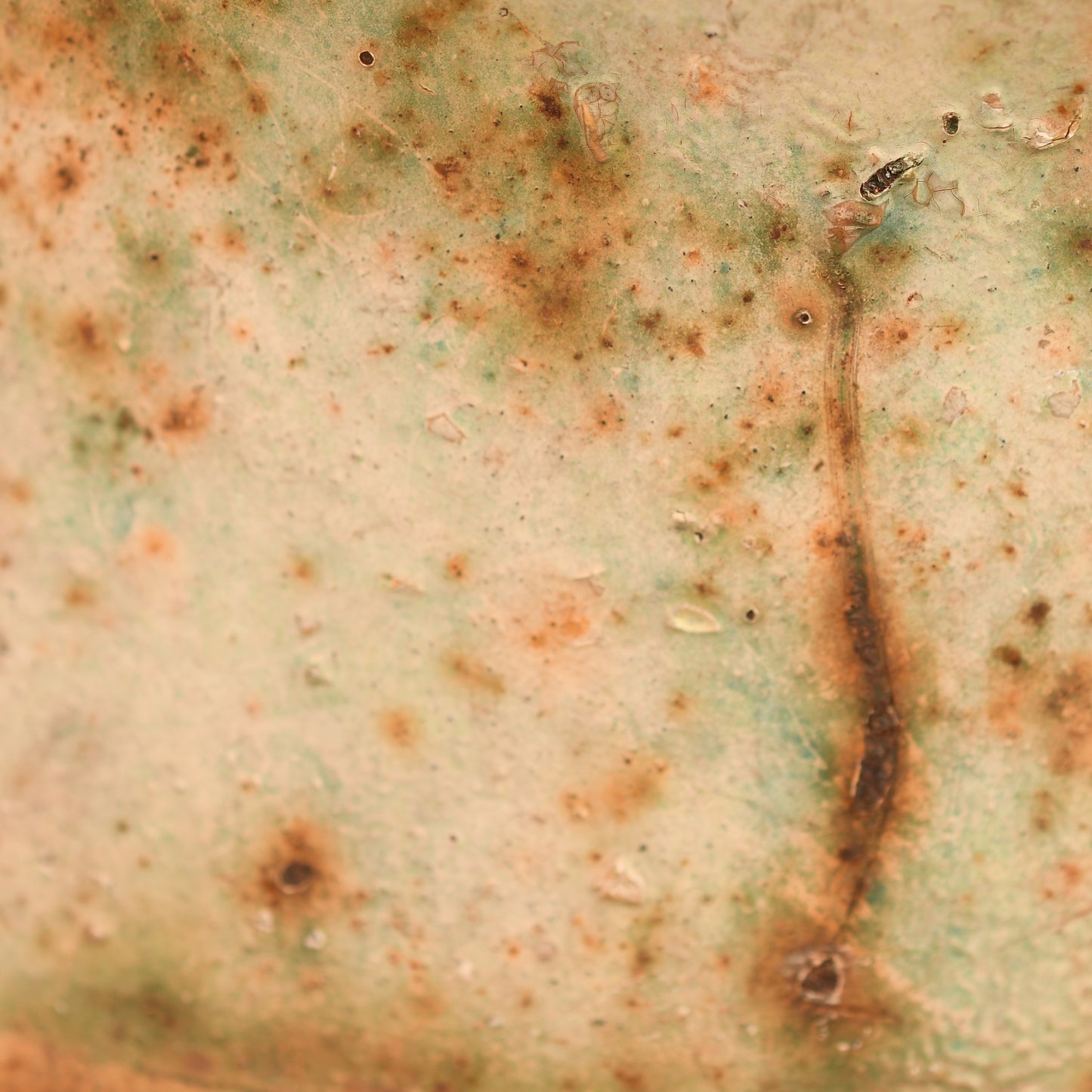 GERMAN WWII WHITE RED CROSS M.42 COMBAT HELMET - BARN STORED