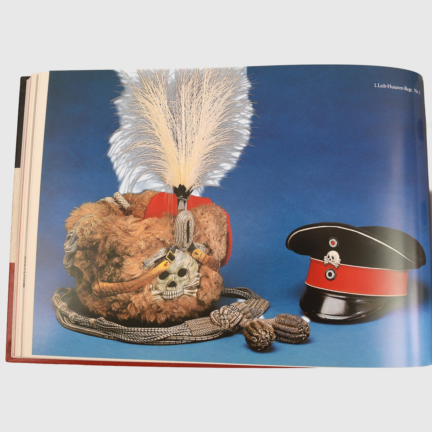 GERMAN WWI PICKELHAUBE BOOK BY DIDIER LAINE