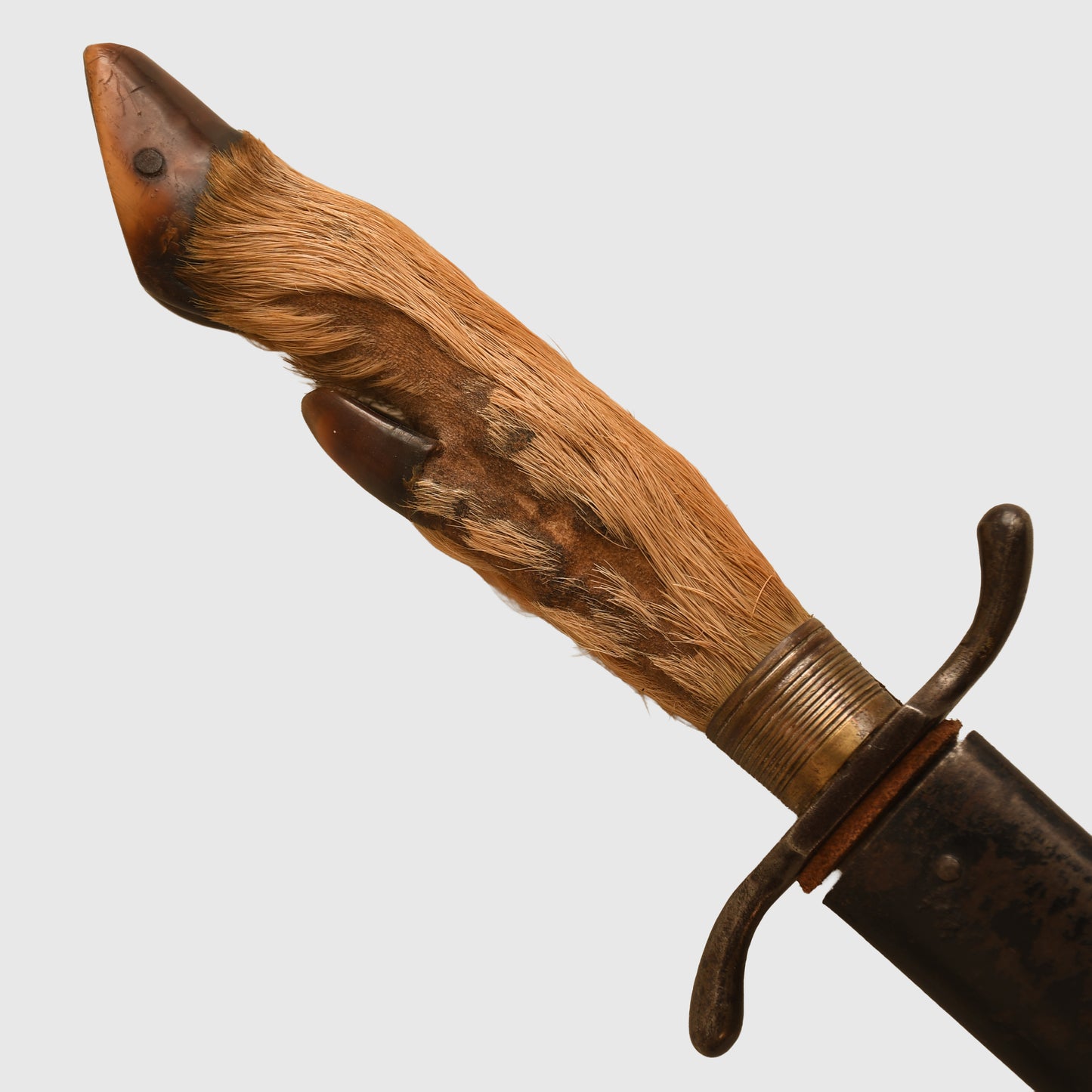 German WWI Deer's Foot Display Piece