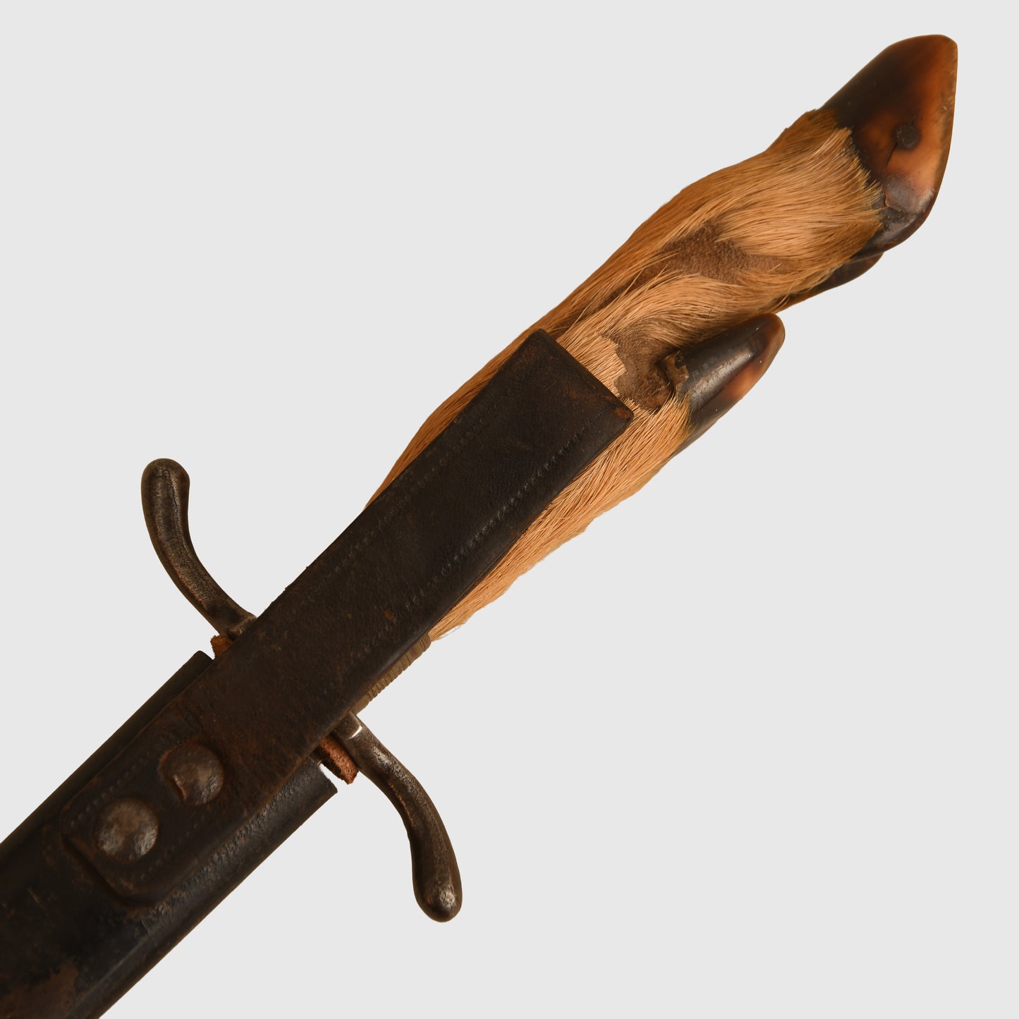 German WWI Deer's Foot Display Piece