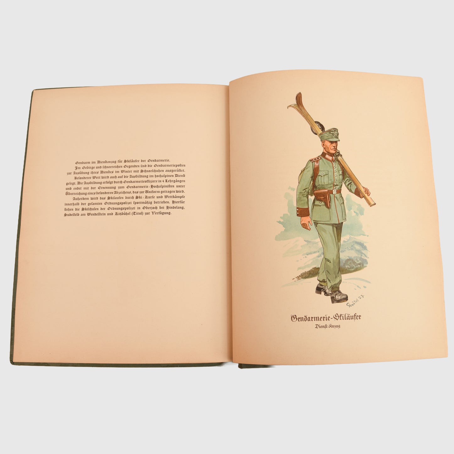 German WWII Ordnungs Polizei Artwork