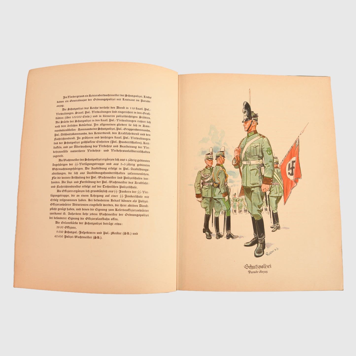 German WWII Ordnungs Polizei Artwork