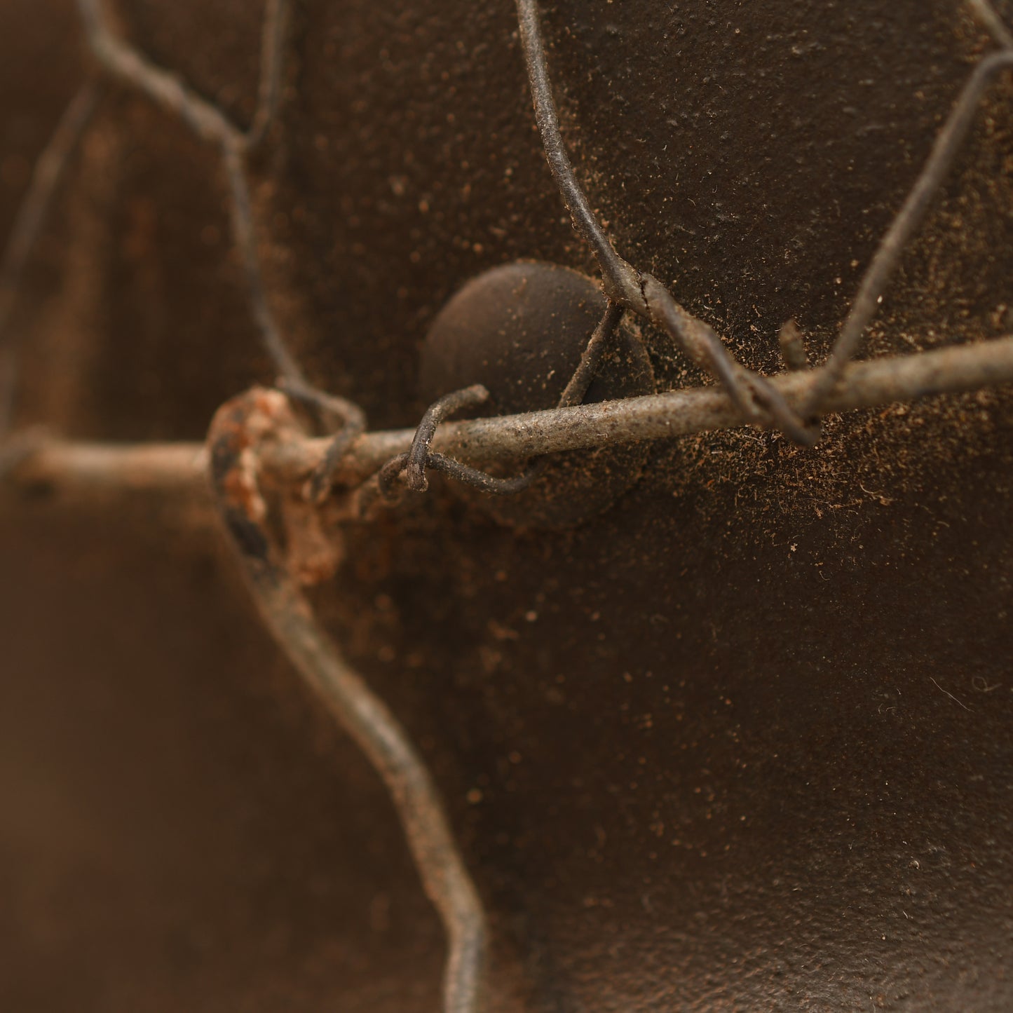 German WWII Army or SS M35 Combat Helmet with Wire Cover