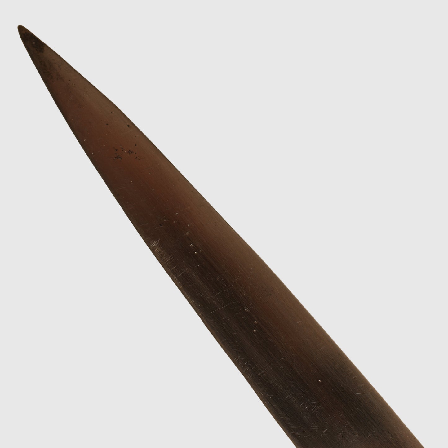GERMAN WWII ALLGEMEINE SS OFFICERS DISPLAY PIECE