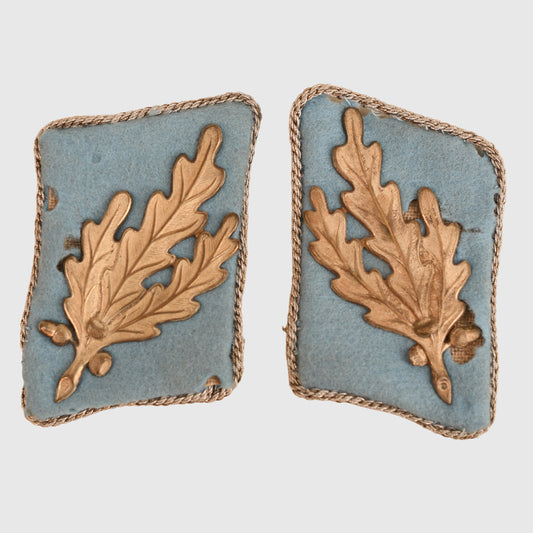 German WWII SA Grouping Führer Collar Patches (Identified)