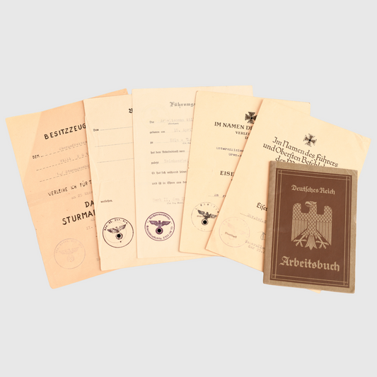 German WWII Assault Gun 25 Actions Document Grouping